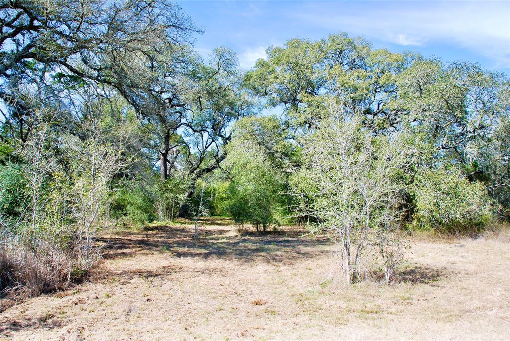 2574 County Road 285, Moulton, Texas image 27