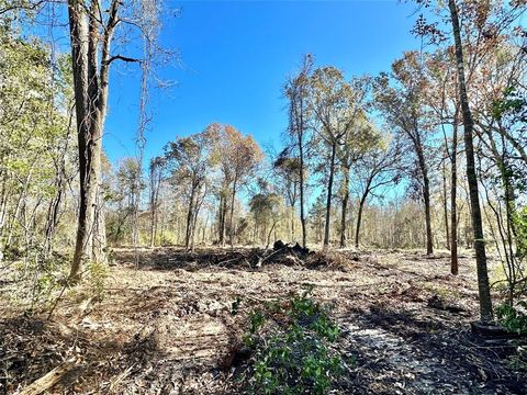 Vacant Land For Sale - 2500 China Rd<br/> China, TX 77713