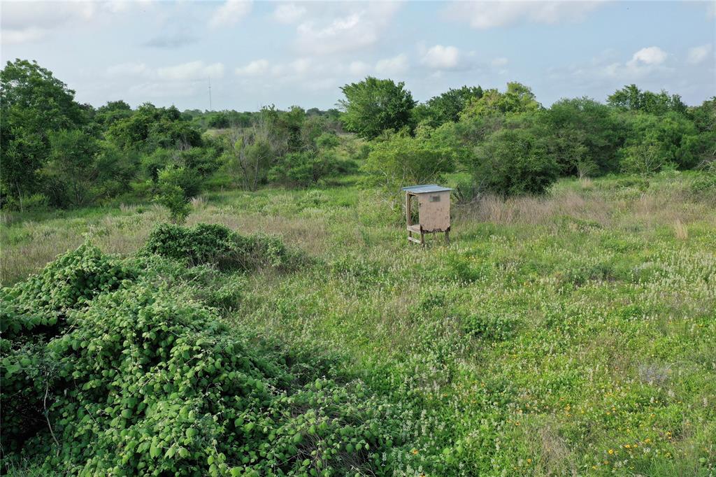 174 State Highway 239, Tivoli, Texas image 37