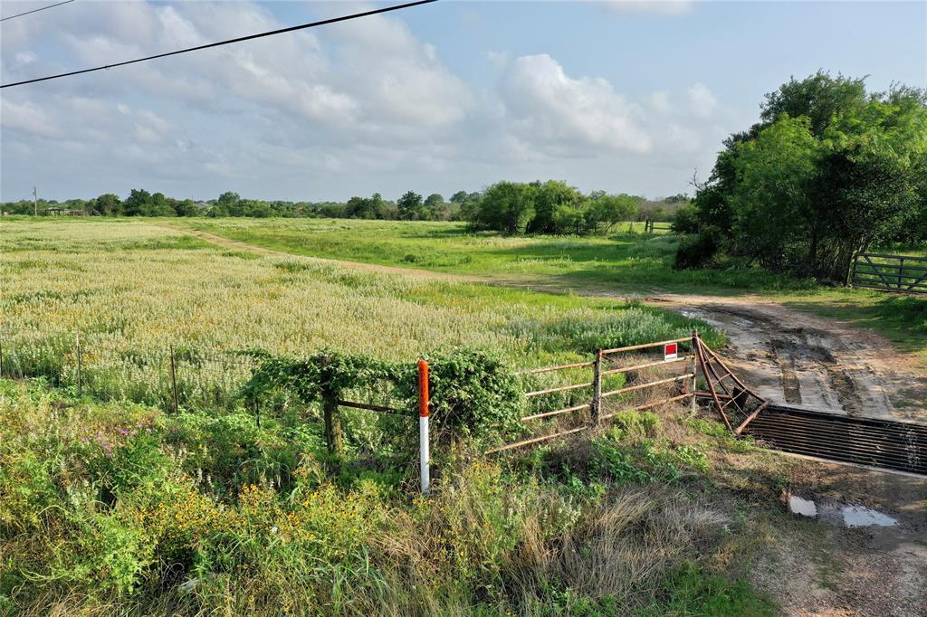 174 State Highway 239, Tivoli, Texas image 10