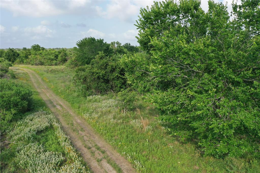 174 State Highway 239, Tivoli, Texas image 38