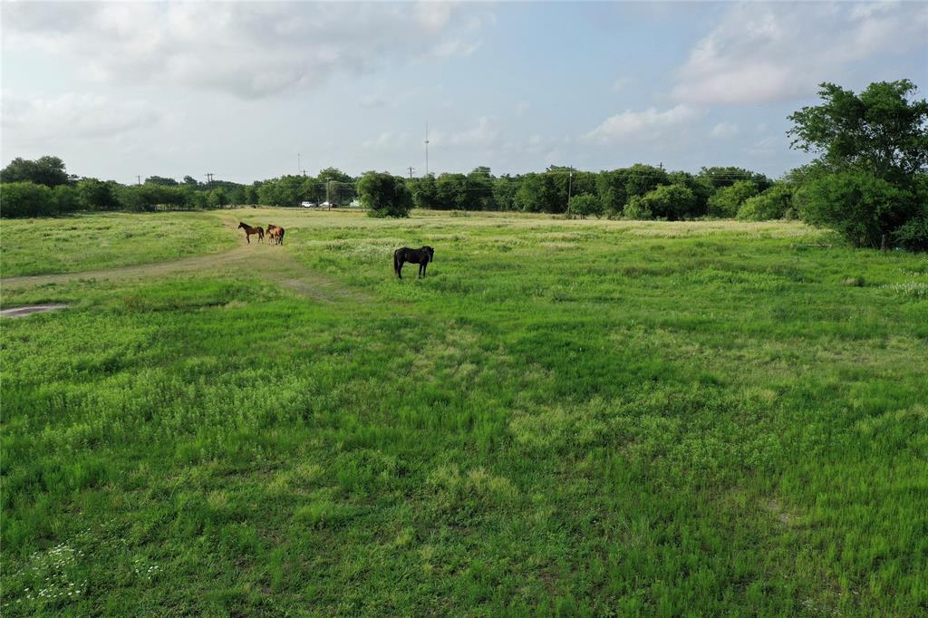 174 State Highway 239, Tivoli, Texas image 30