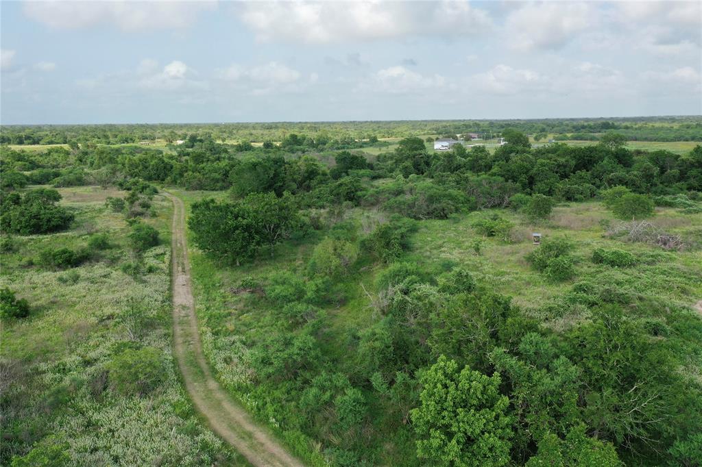 174 State Highway 239, Tivoli, Texas image 35