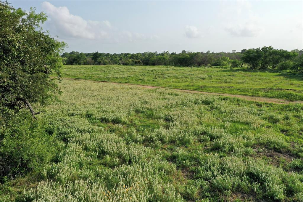 174 State Highway 239, Tivoli, Texas image 9