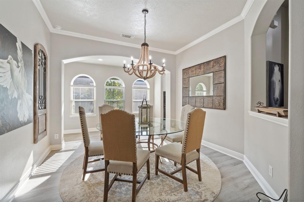 2517 Royal Terns Court, League City, Texas image 13
