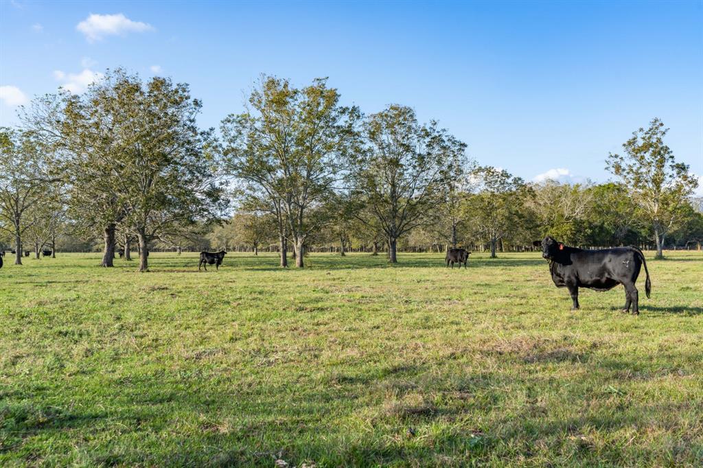 5908 County Road 135 Road, Wharton, Texas image 49