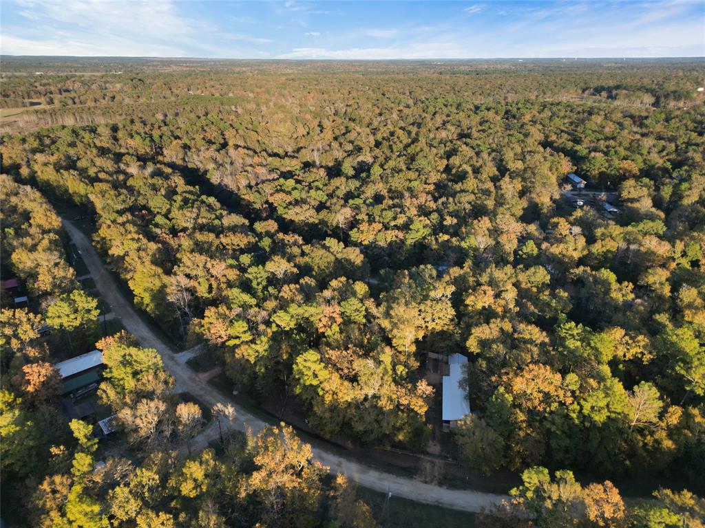 Moonlite Drive, Livingston, Texas image 2