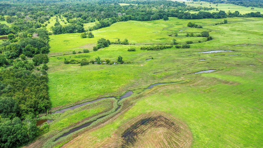 5059 County Road 132, Bedias, Texas image 37