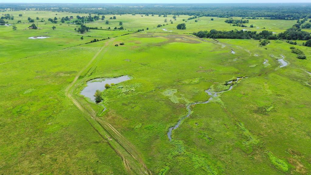 5059 County Road 132, Bedias, Texas image 38