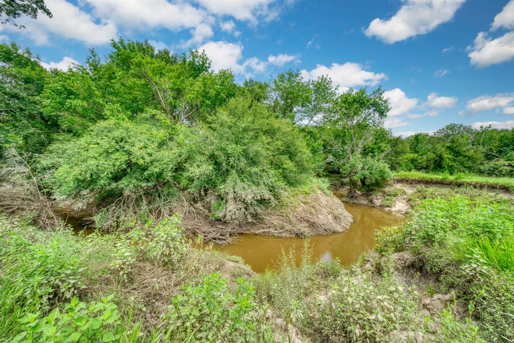 5059 County Road 132, Bedias, Texas image 43