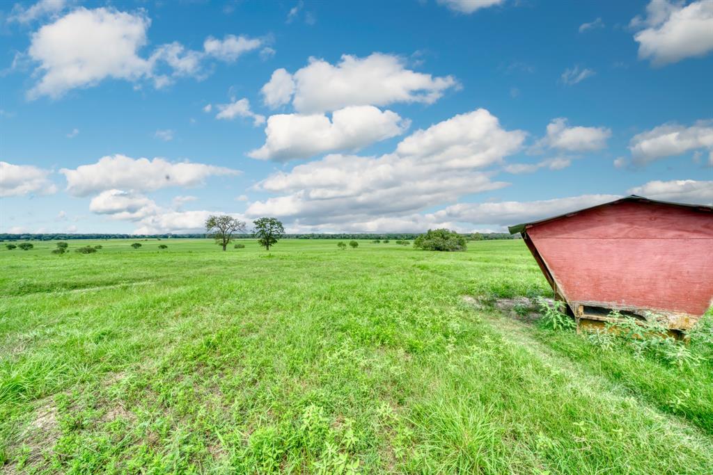 5059 County Road 132, Bedias, Texas image 14