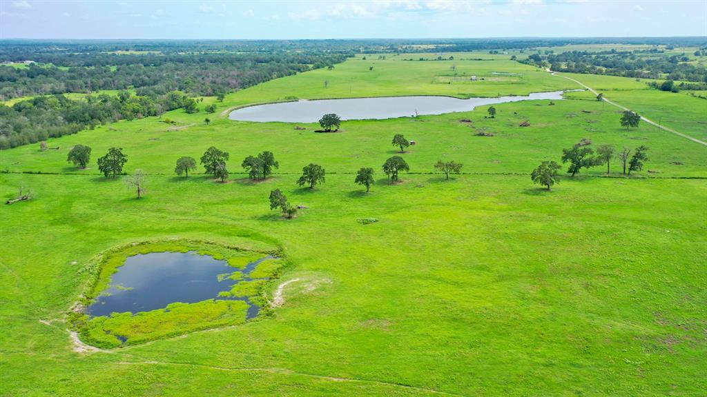 5059 County Road 132, Bedias, Texas image 12