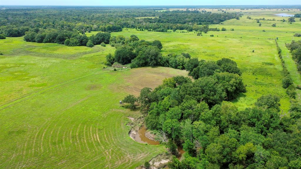 5059 County Road 132, Bedias, Texas image 39