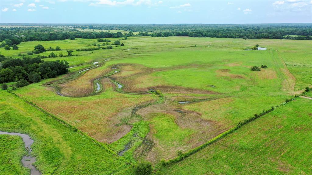 5059 County Road 132, Bedias, Texas image 36