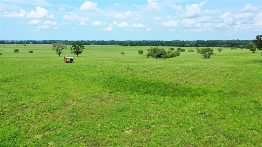 5059 County Road 132, Bedias, Texas image 11