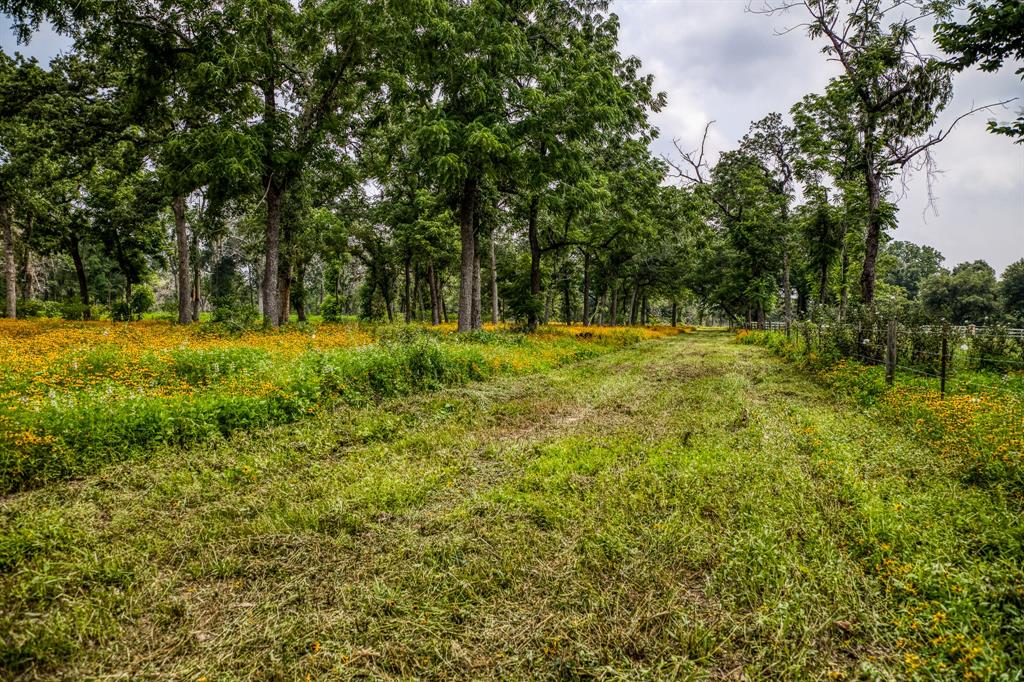 TBD Sycamore Crossing, Bellville, Texas image 4