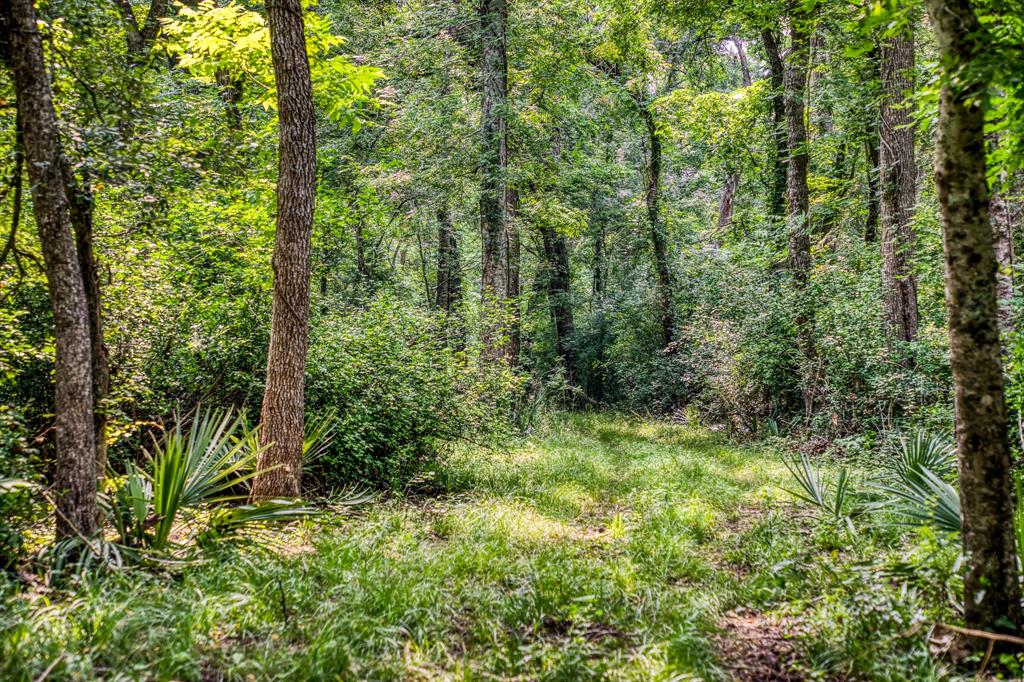 TBD Sycamore Crossing, Bellville, Texas image 3