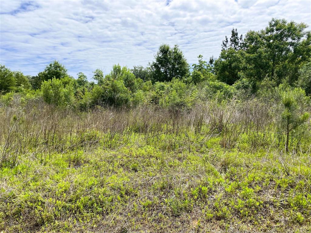 217 County Road 3581, Cleveland, Texas image 4