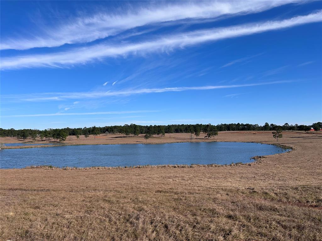 TBD Lakeland  Ranch Drive, Woodville, Texas image 8