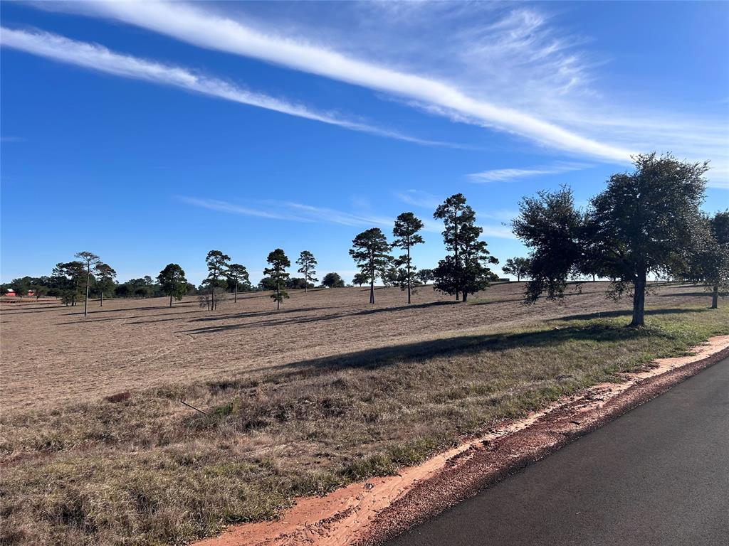 TBD Lakeland  Ranch Drive, Woodville, Texas image 6