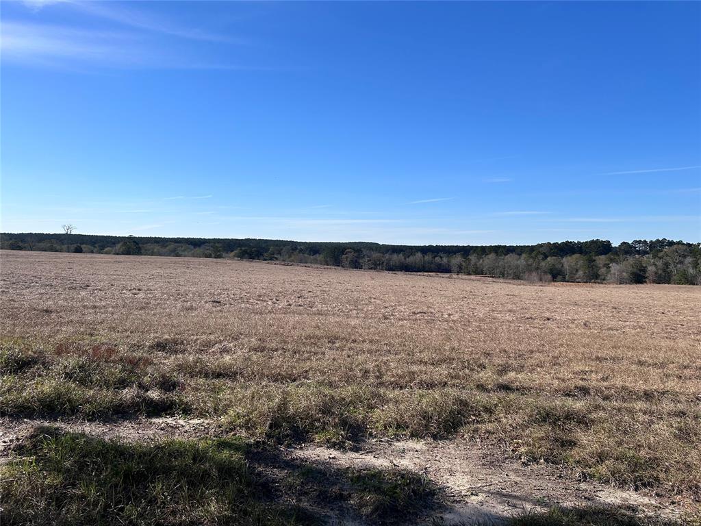 TBD Lakeland  Ranch Drive, Woodville, Texas image 4