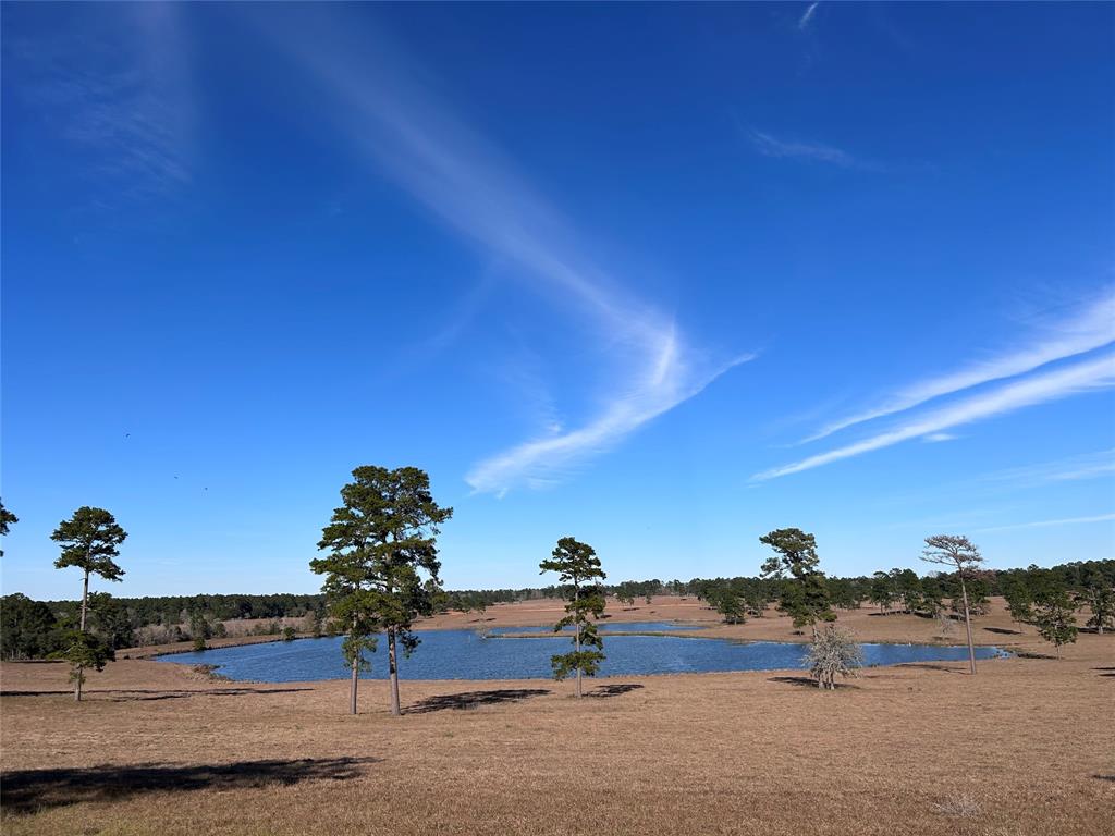 TBD Lakeland  Ranch Drive, Woodville, Texas image 19