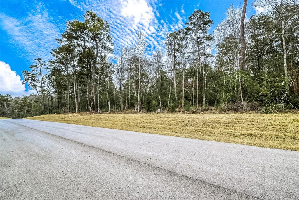 Grassland Court, Huntsville, Texas image 6