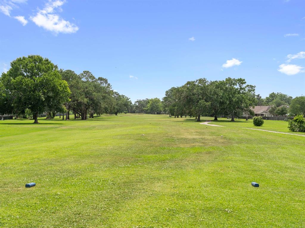 244 Mossy Meadow Drive, West Columbia, Texas image 35