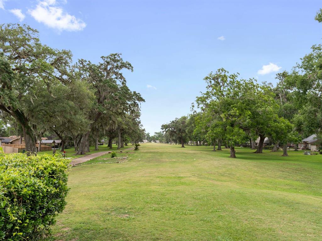 244 Mossy Meadow Drive, West Columbia, Texas image 34