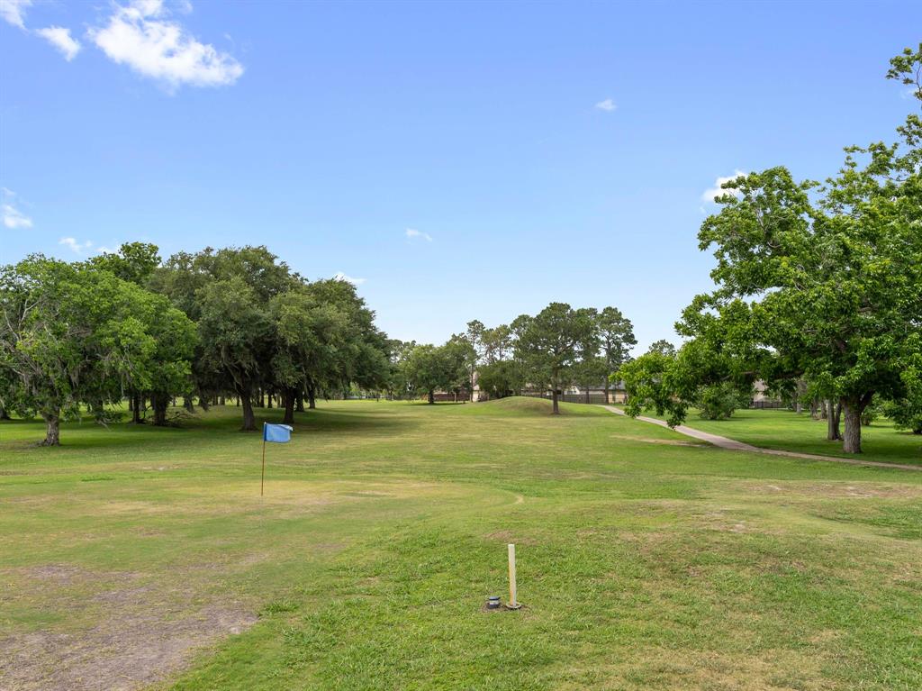 244 Mossy Meadow Drive, West Columbia, Texas image 33