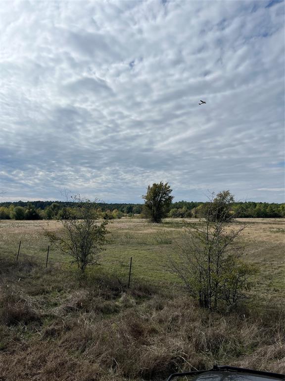 TBD Hadley Creek Bend, Lot 5, Huntsville, Texas image 10