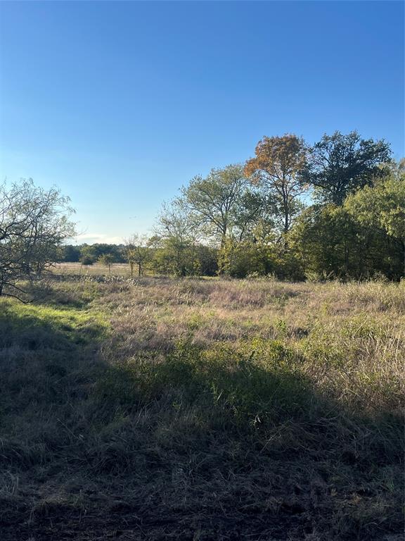 TBD Hadley Creek Bend, Lot 5, Huntsville, Texas image 11