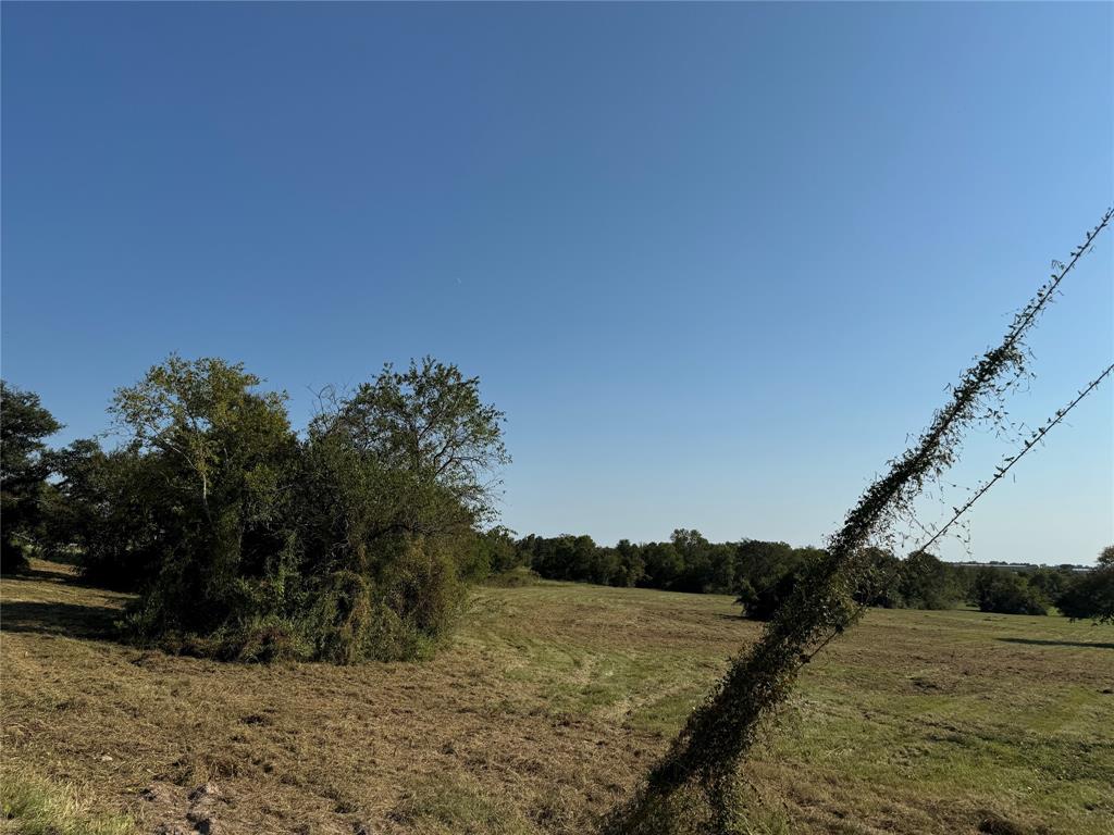 TBD Hadley Creek Bend, Lot 5, Huntsville, Texas image 3