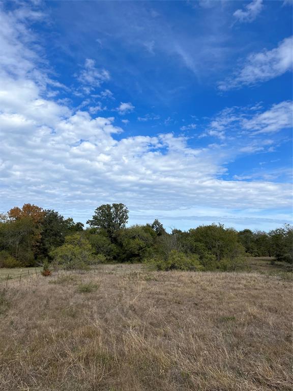 TBD Hadley Creek Bend, Lot 5, Huntsville, Texas image 12