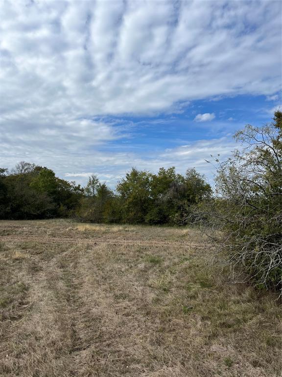 TBD Hadley Creek Bend, Lot 5, Huntsville, Texas image 6