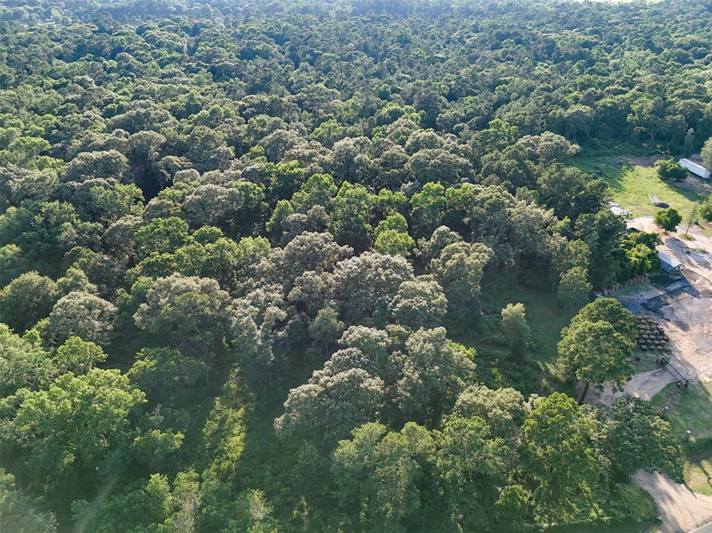 Mueschke Road, Tomball, Texas image 7