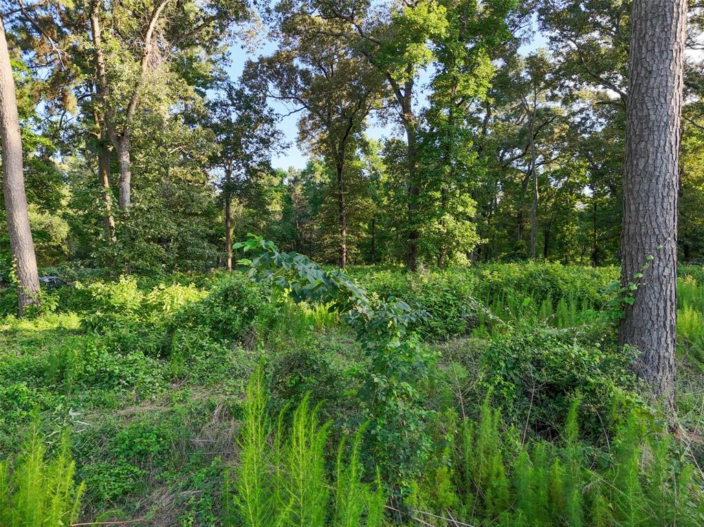 Mueschke Road, Tomball, Texas image 5