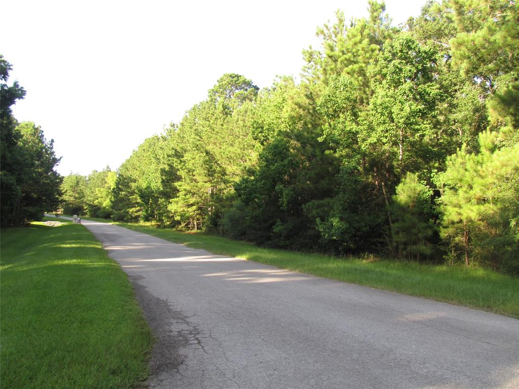 28046 Crossway Oaks, Magnolia, Texas image 3