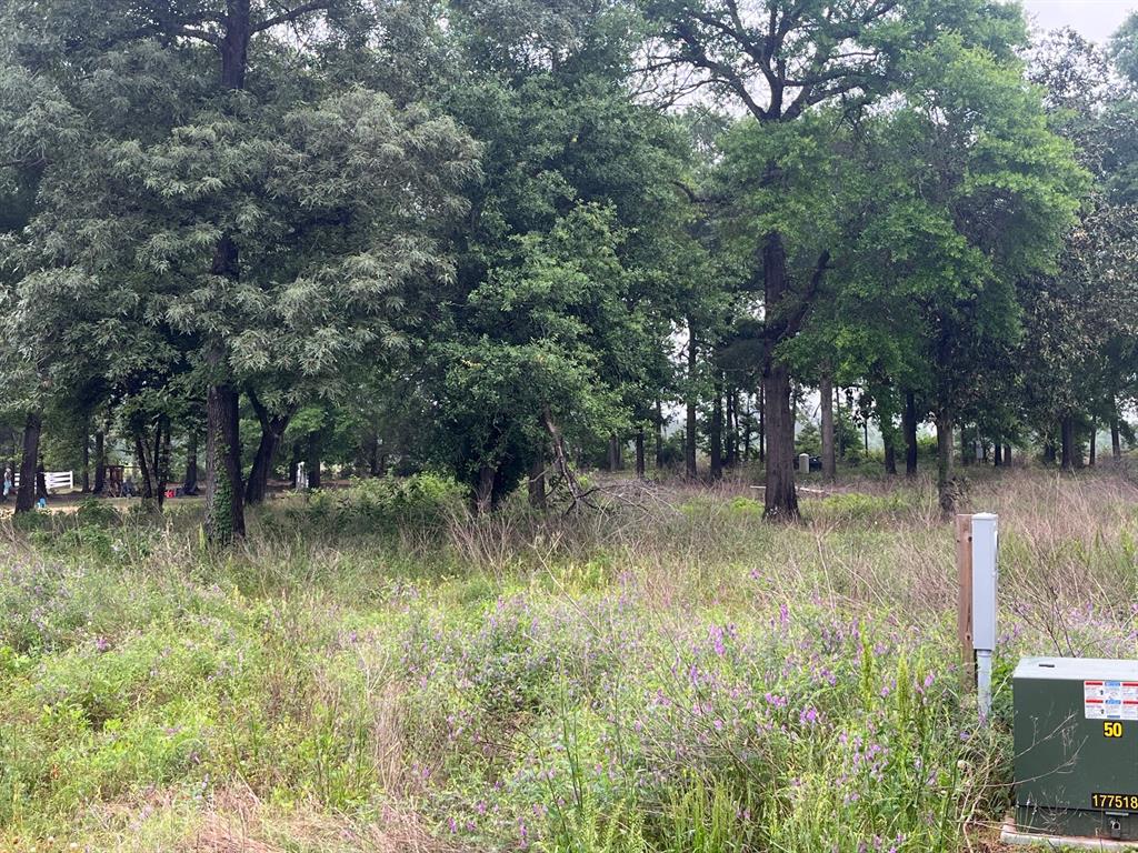 61 Quiet Springs Trail, Willis, Texas image 5