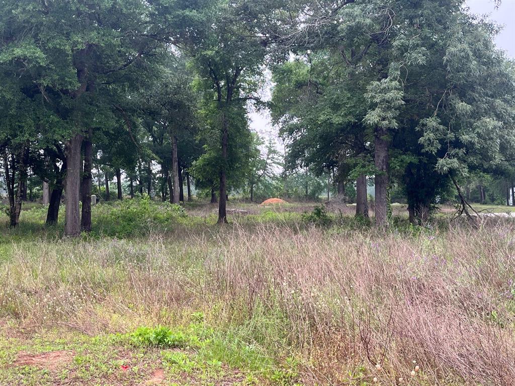 61 Quiet Springs Trail, Willis, Texas image 1
