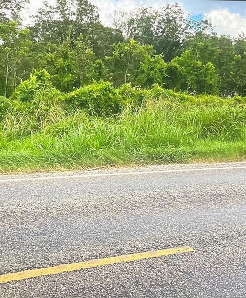 Vacant Land For Sale - 0 Fm 521<br/> Cedar Lane, TX 77415