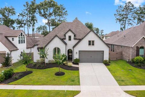 17460 Chestnut Cove Drive Conroe TX 77302