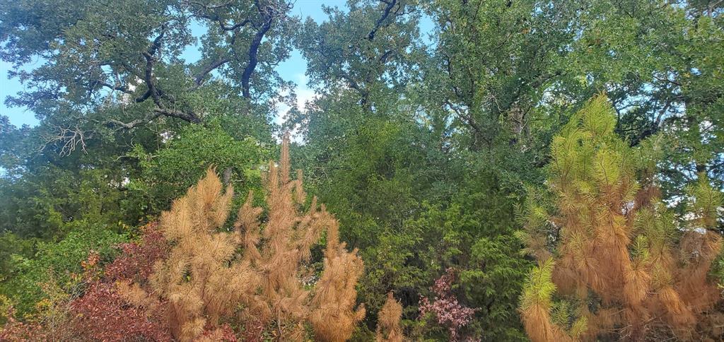 Lot 21 Broken Arrow Circle, Hempstead, Texas image 2