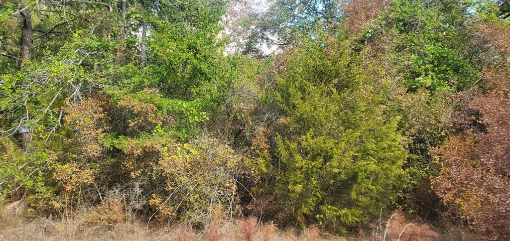 Lot 21 Broken Arrow Circle, Hempstead, Texas image 1