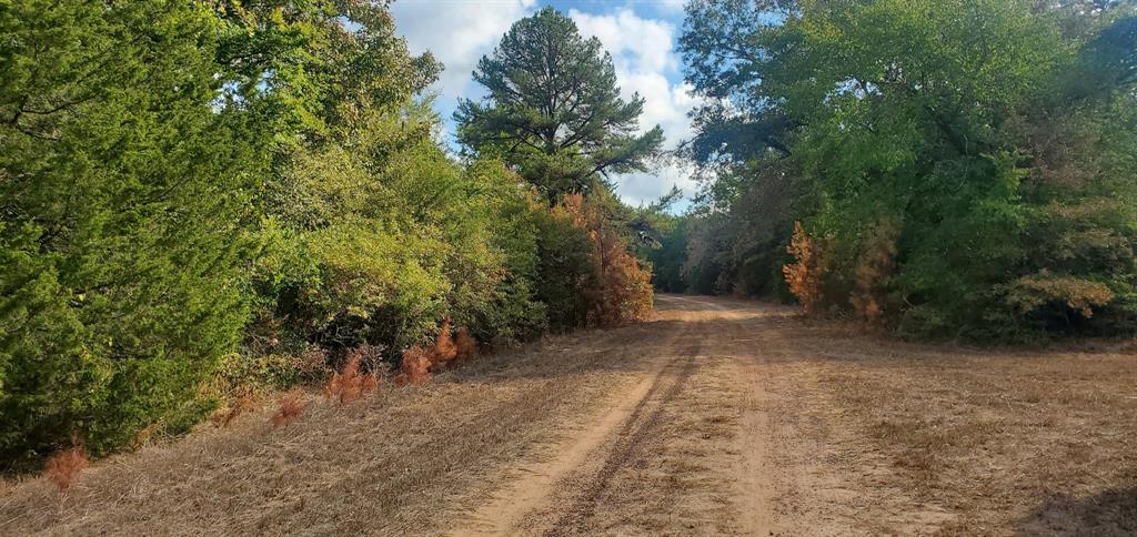 Lot 21 Broken Arrow Circle, Hempstead, Texas image 8