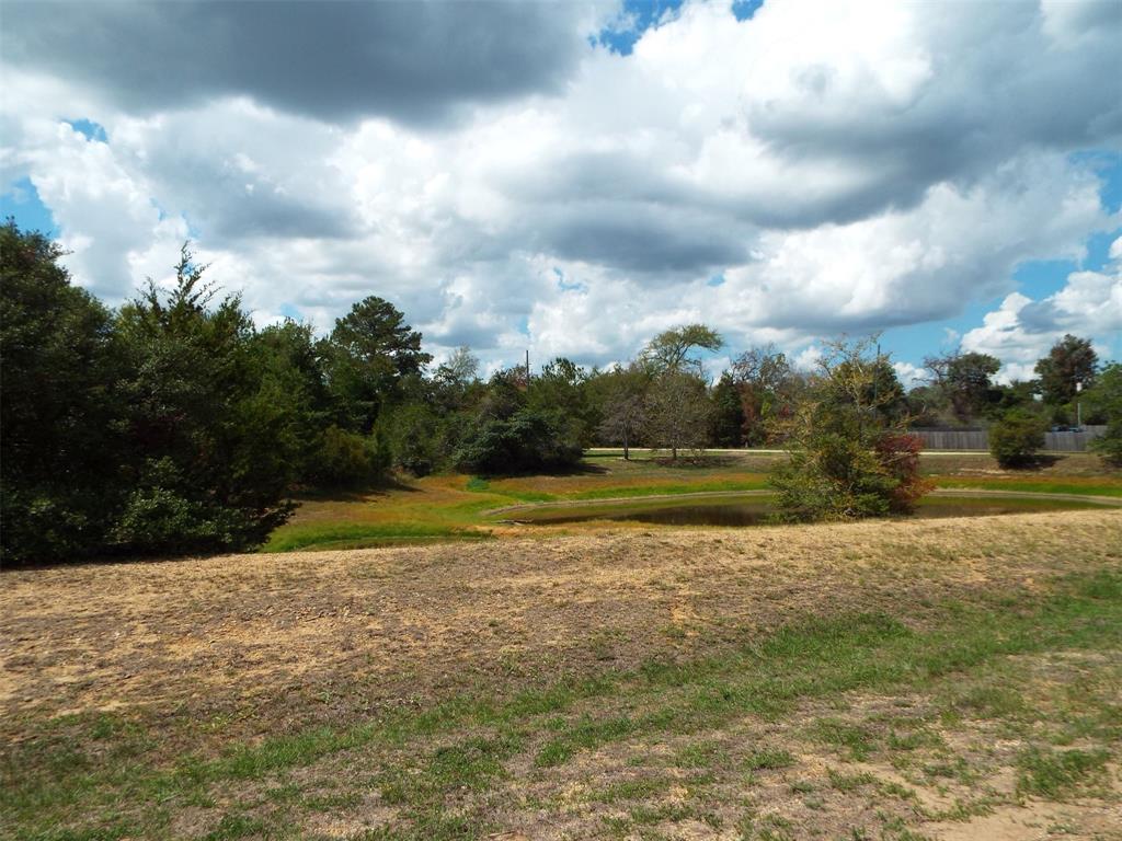 Lot 21 Broken Arrow Circle, Hempstead, Texas image 14