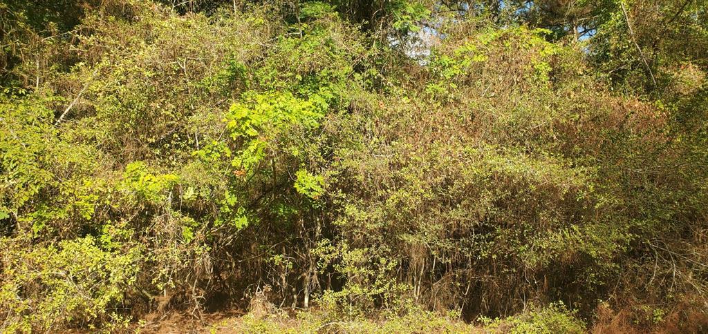Lot 21 Broken Arrow Circle, Hempstead, Texas image 4
