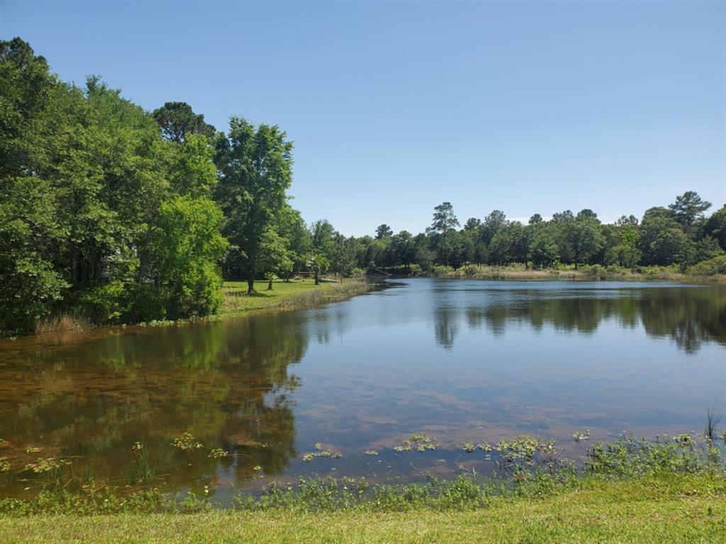 Lot 21 Broken Arrow Circle, Hempstead, Texas image 19