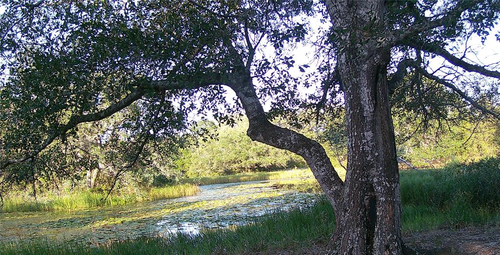 TBD5 County Road 19, Garwood, Texas image 10