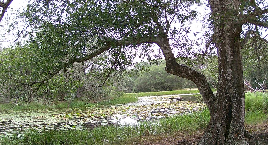 TBD5 County Road 19, Garwood, Texas image 7